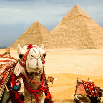 зимовка в египте, мобильная связь за границей