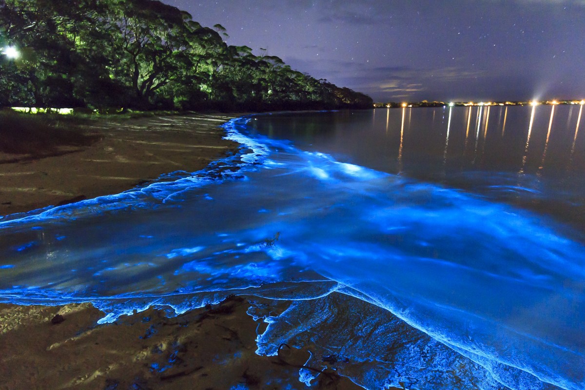 Топ-6 удивительных мест на Планете: фитопланктон Мальдивы остров Ваадху